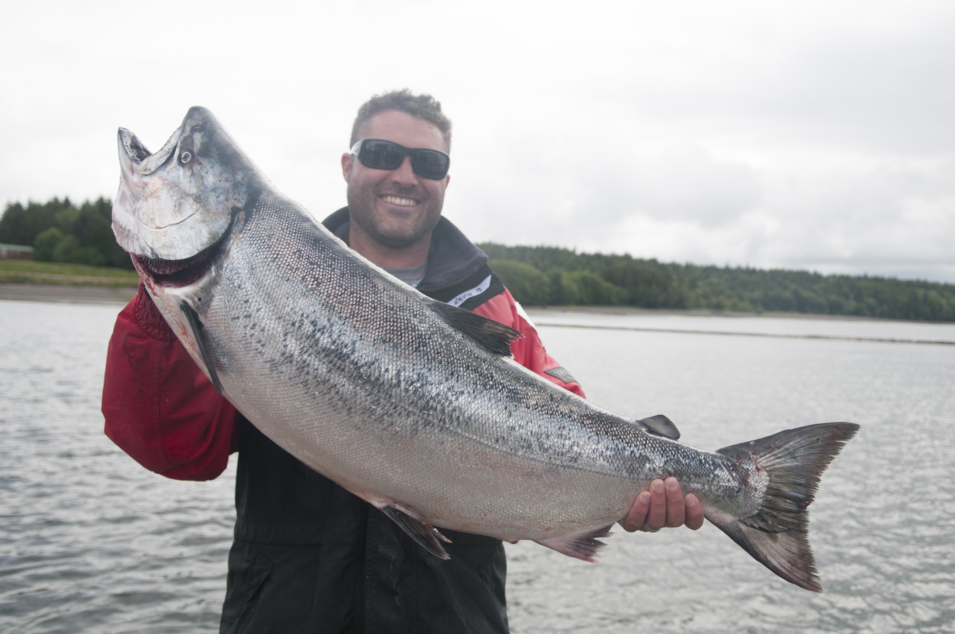 BC salmon fishing - Species of Pacific BC salmon - Chinook salmon