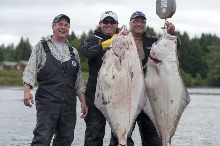 Halibut Fishing BC Best Halibut Fishing in Haida Gwaii BC