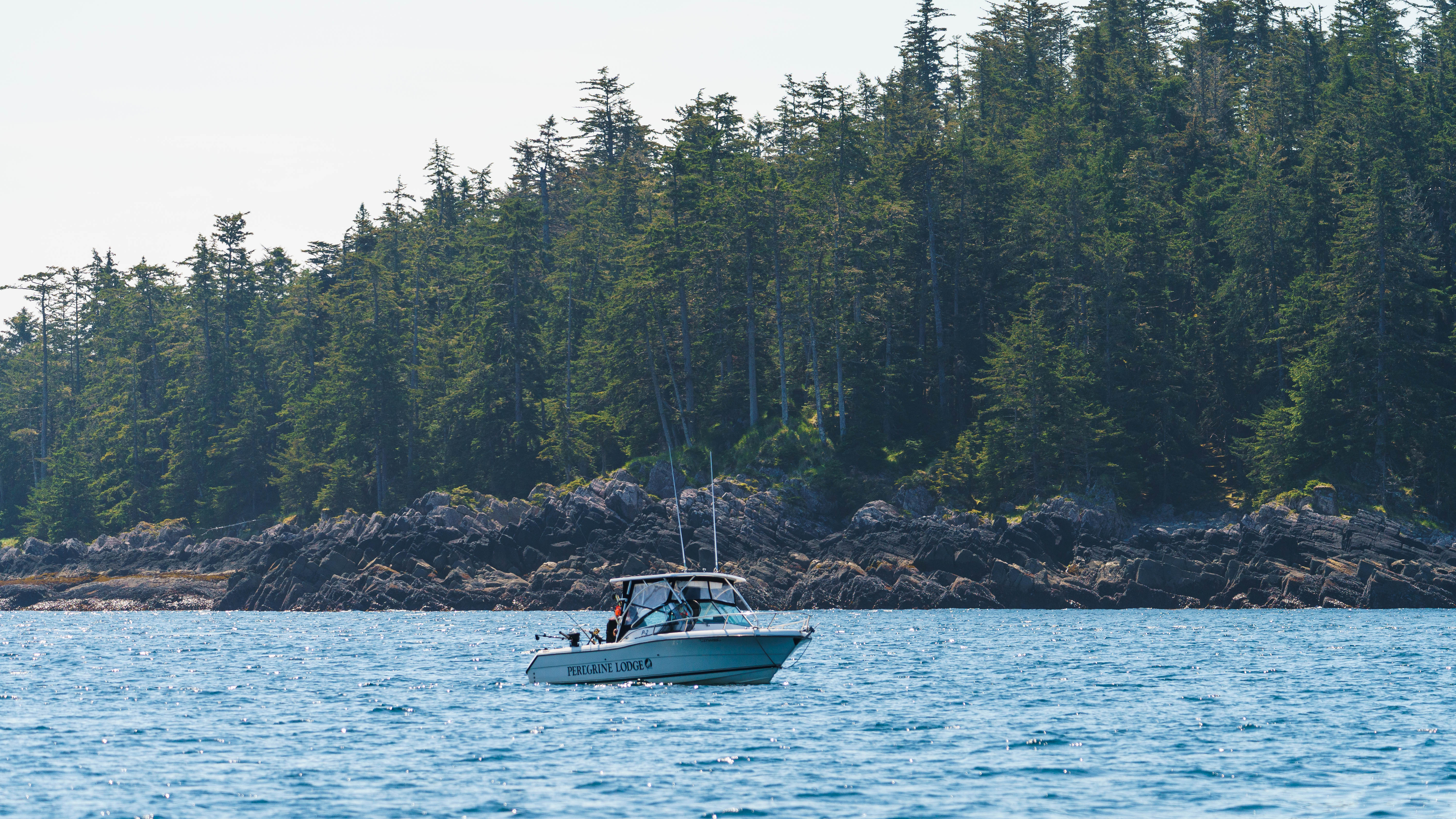 salmon fishing peregrine lodge haida gwaii deon towle media