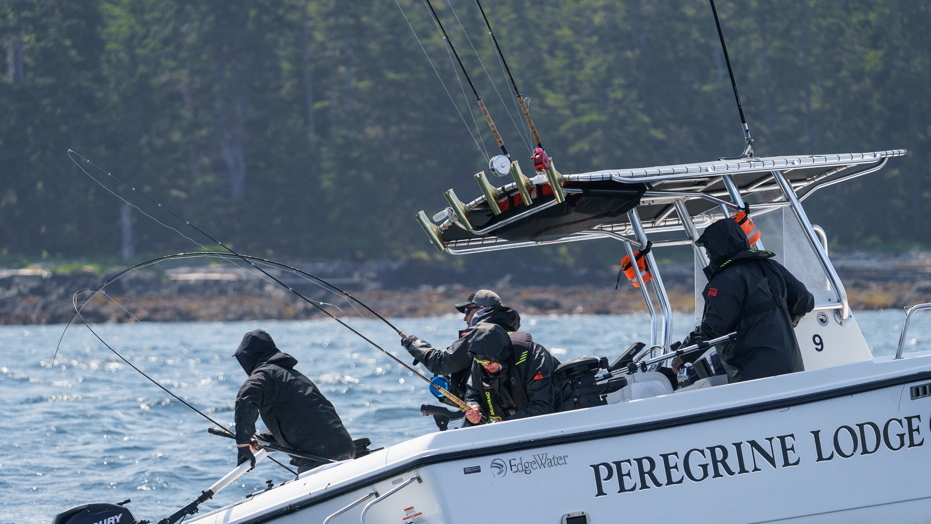 salmon fishing peregrine lodge haida gwaii deon towle media